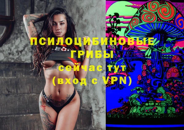 спиды Липки